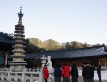 IMG_4161.jpg