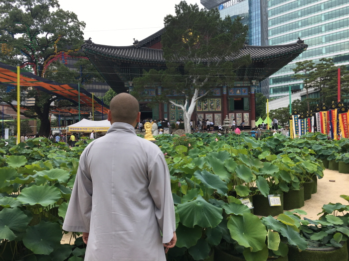 조계사를 바라보는 유엄스님