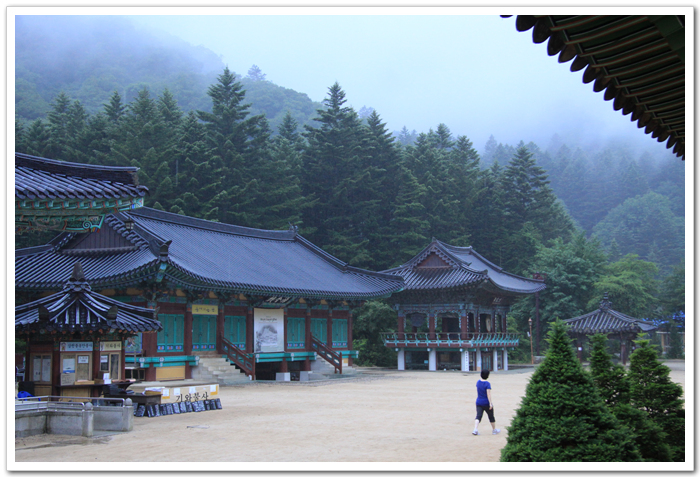 비 내리는 늦은 저녁에 우산도 없이 산사를 찾은 보살님도 계셨습니다.